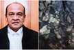 PIL filed in Supreme Court to register FIR against Justice Yashwant Varma